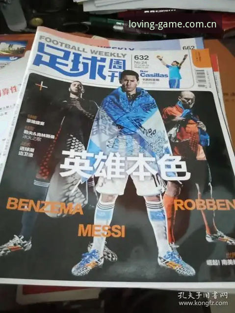揭秘专注区域服务本色足球数据：为什么信息越“窄”越有用