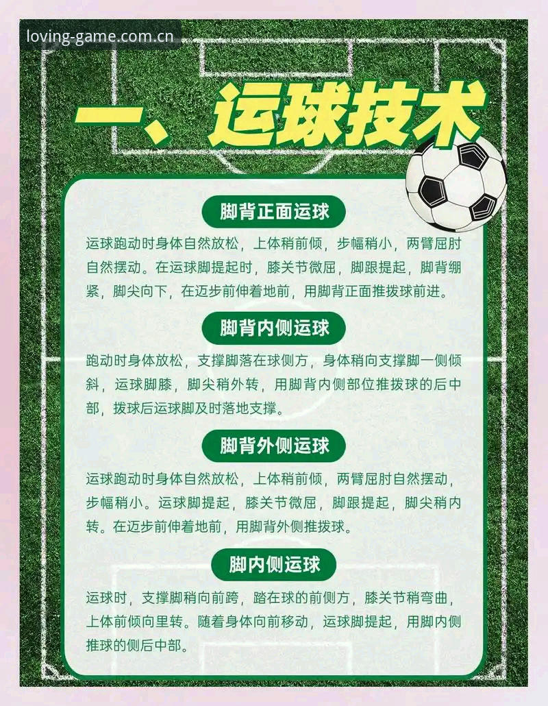 专注区域服务本色足球数据查询完整指南